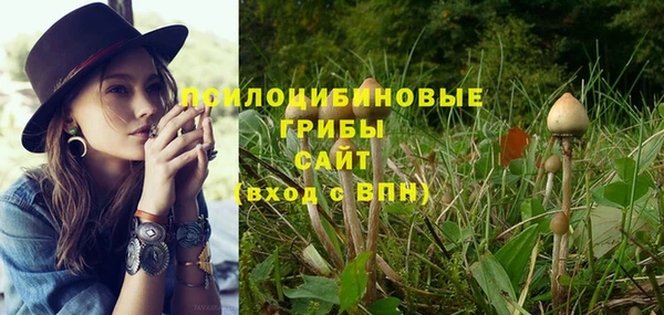 PSILOCYBIN Абинск