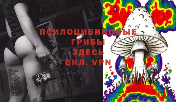PSILOCYBIN Абинск