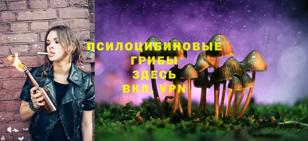 МДПВ Абаза