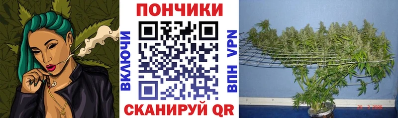 МАРИХУАНА гибрид  как найти закладки  Амурск 